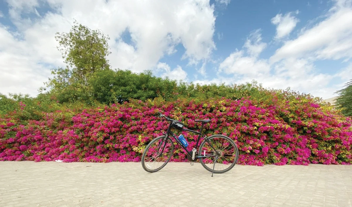 Startup of the Week: SPiN: Cycling one’s way to better health and lifestyle