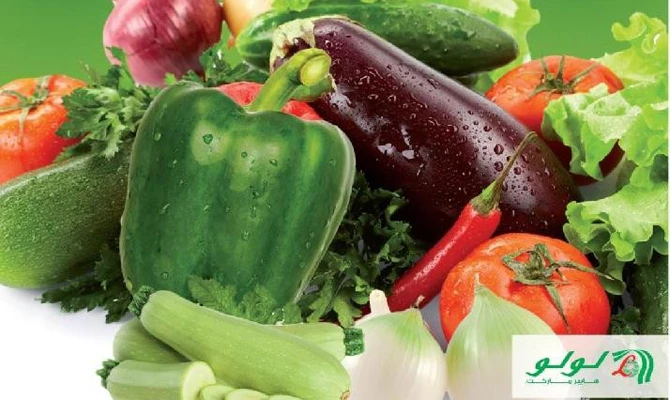 Vegan event feeds a growing market in Jeddah