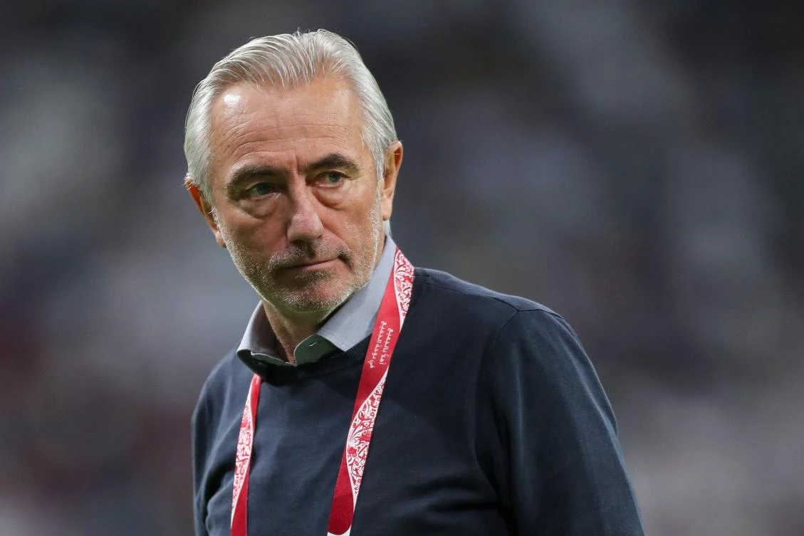 Bert van Marwijk coached the Australian team at the 2018 World Cup. (File/AFP)