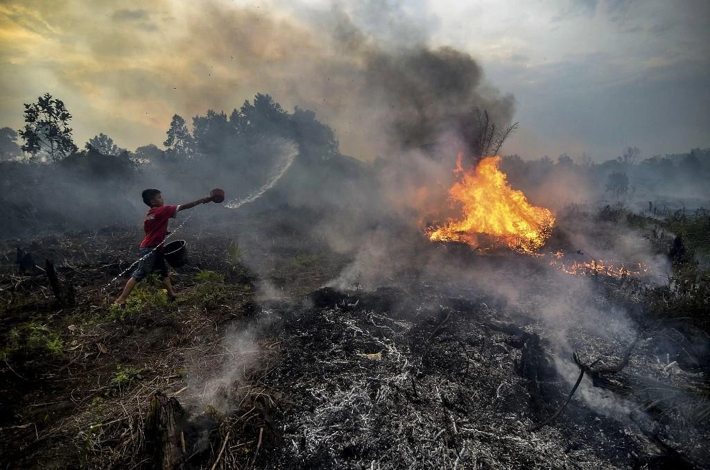 World Bank: Indonesia forest fires cost $5.2bn in economic losses