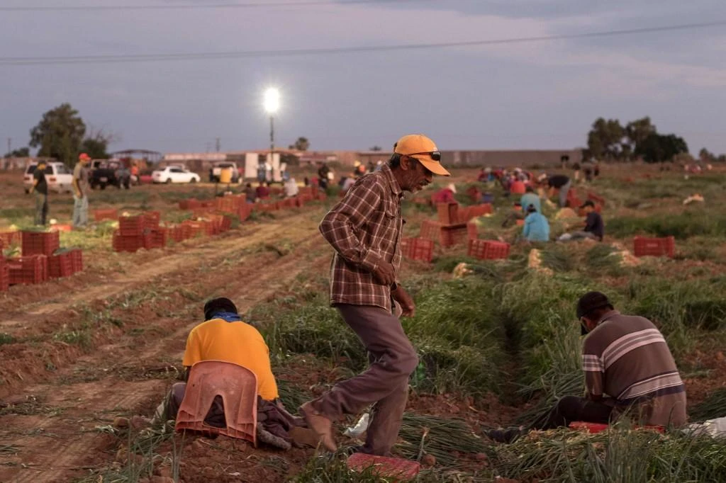Mexico objects to labor enforcement provision in North American trade deal