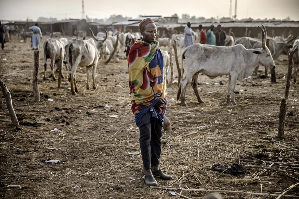 Boko Haram have been raiding herding communities, seizing cattle — a valuable commodity in the region — to fund their operations. (File/AFP)