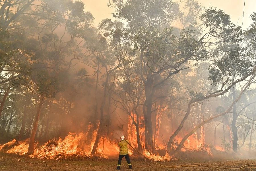 Toxic Sydney bushfire haze a ‘public health emergency’
