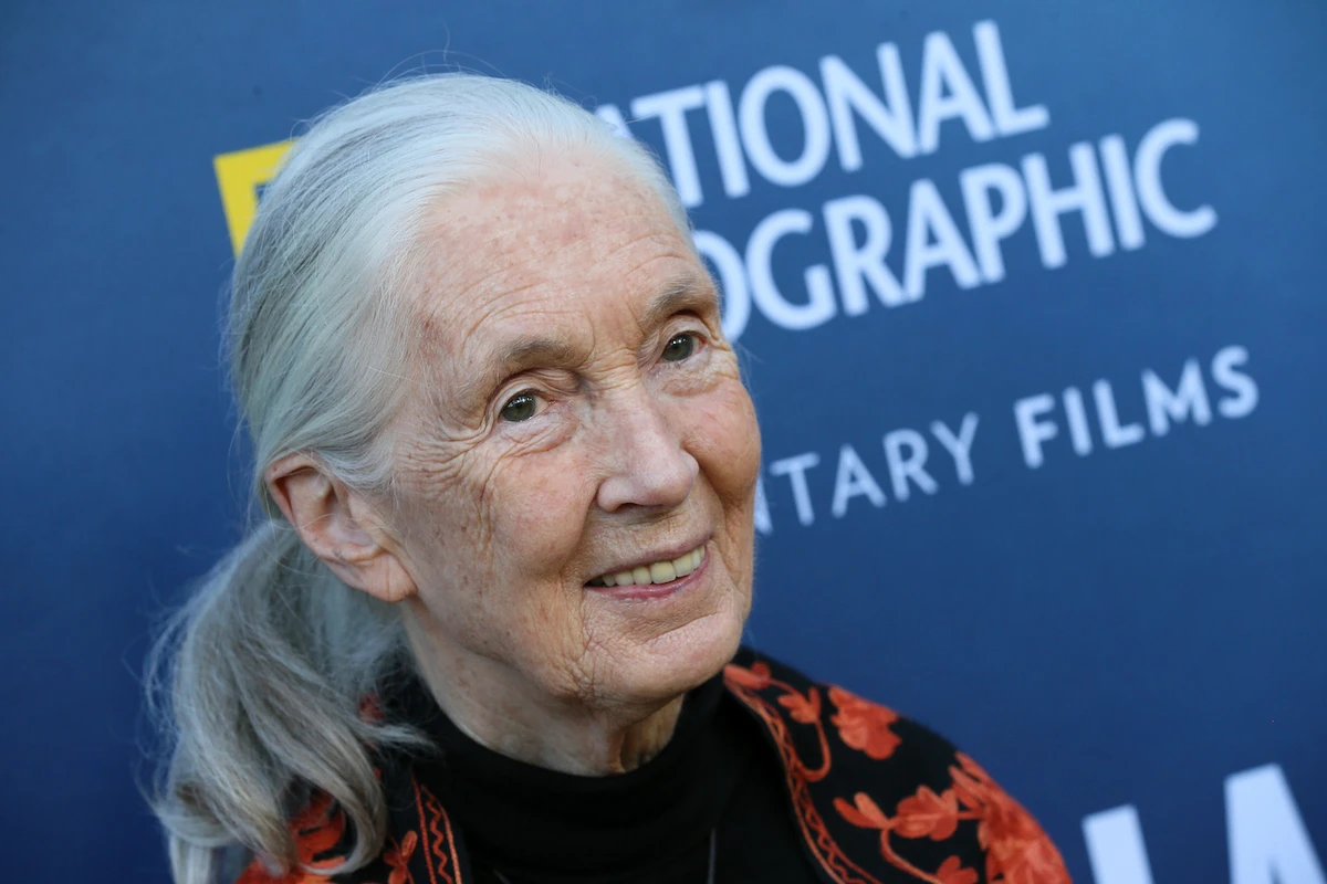 Jane Goodall is a British trailblazing scientist. (AFP)