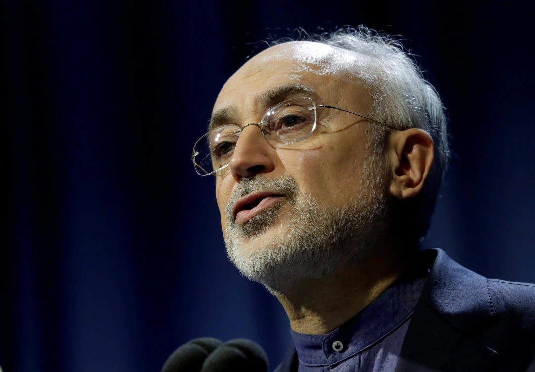 Head of Iran's Atomic Energy Organization Ali-Akbar Salehi attends the opening of the International Atomic Energy Agency (IAEA) General Conference at their headquarters in Vienna, Austria September 16, 2019. (Reuters)