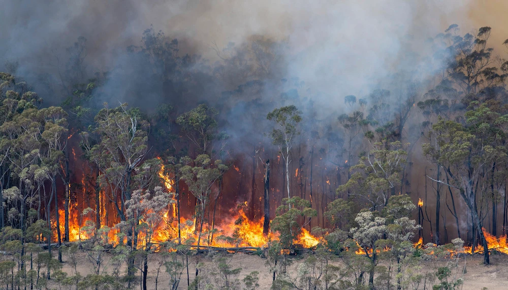 Thousands of holidaymakers and locals were forced to flee to beaches in fire-ravaged southeast Australia on December 31, as blazes ripped through popular tourist areas leaving no escape by land. (State Government of Victoria via AP)
