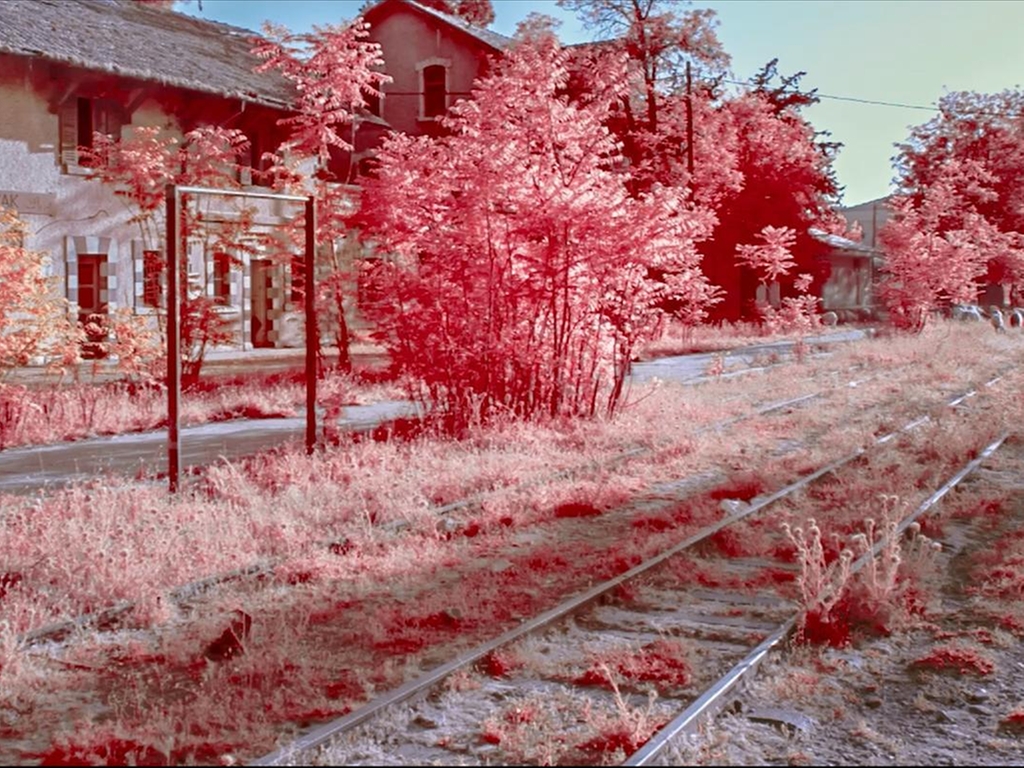 ‘Beirut Terminus’