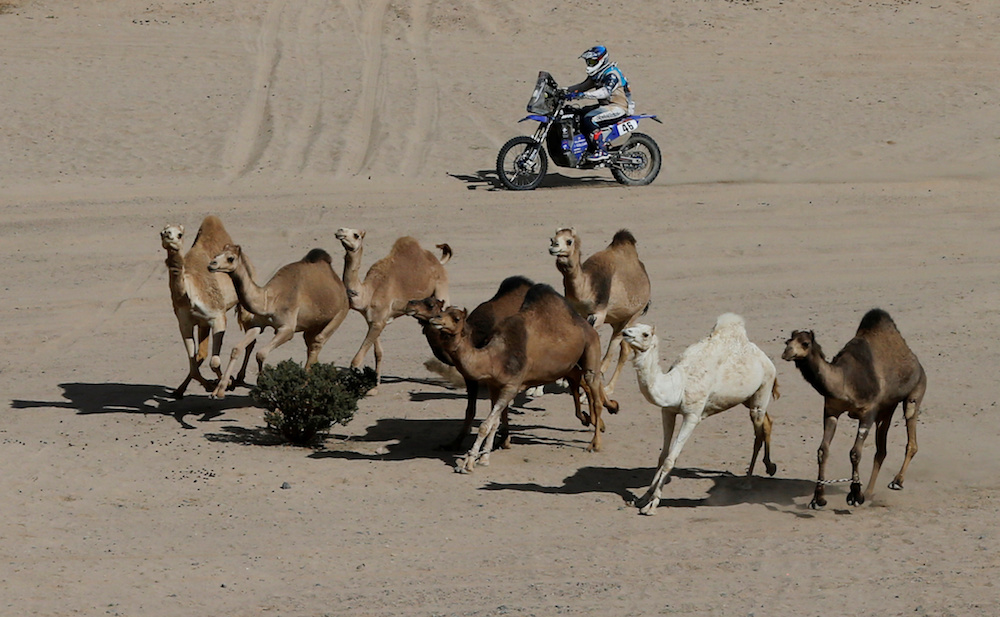 Dakar 2020: Stage 2 Al-Wajh to Neom