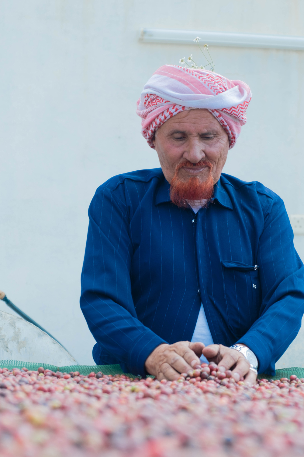 Khawlani coffee beans: The untold story of Arabia’s other black gold