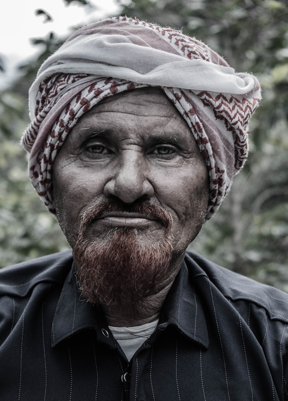 Khawlani coffee beans: The untold story of Arabia’s other black gold