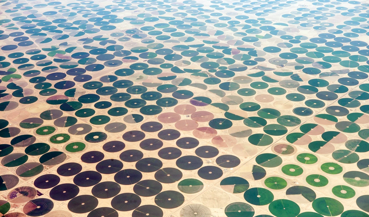 How GCC countries are forging a food-secure future