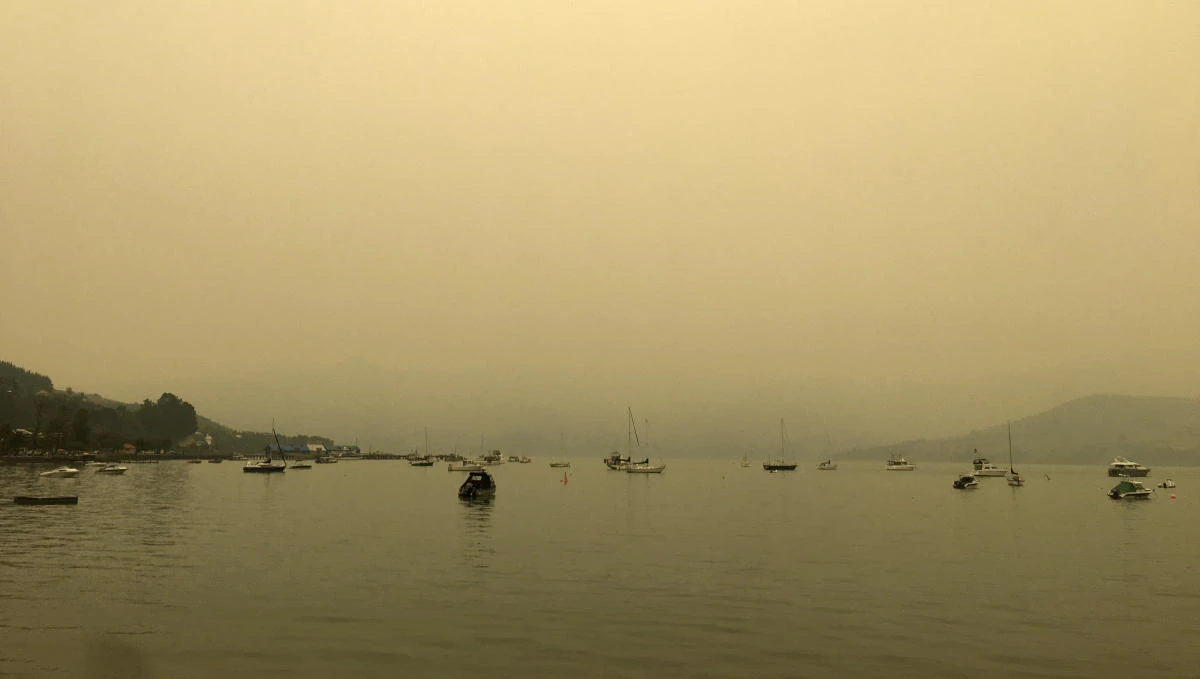 Australian bushfire smoke turns New Zealand glaciers brown