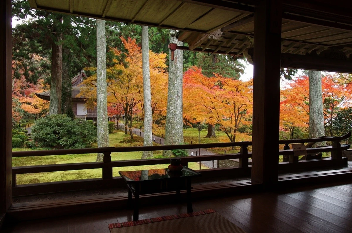 Autumn in Japan. (Supplied)