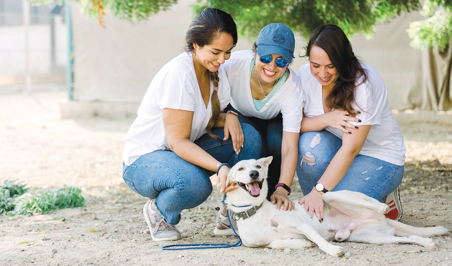 Open Paws is the leading rescue, rehabilitation, and adoption center for abandoned, lost and unwanted dogs in Jeddah. (Photo/Supplied)