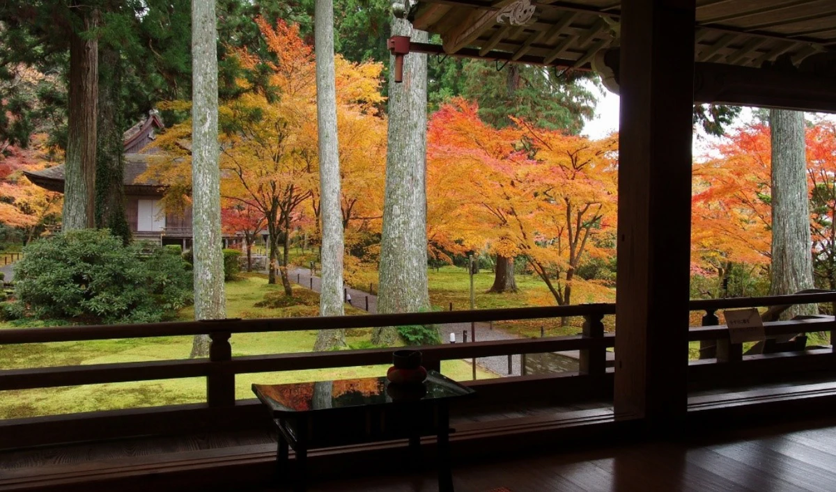 JNTO wants to make Japan the ultimate destination for UAE tourists