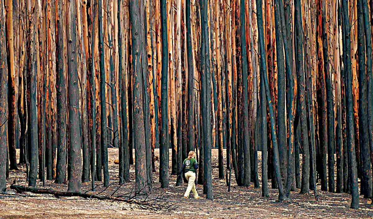 Australia counts cost as fires deter visitors