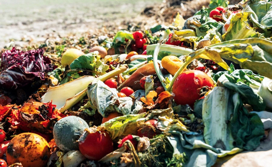 Every year, a third of food produced for human consumption is lost or wasted. (Supplied)
