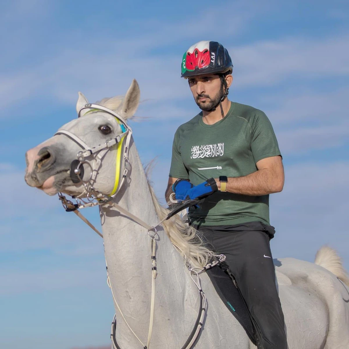 Dubai’s Crown Prince Sheikh Hamdan bin Mohammed claimed his second consecutive title during the running of the Custodian of the Two Holy Mosques Endurance Cup in AlUla on Saturday. (Photos: Winter at Tantora Twitter)