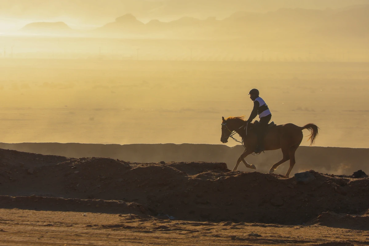 Dubai’s Crown Prince Sheikh Hamdan bin Mohammed claimed his second consecutive title during the running of the Custodian of the Two Holy Mosques Endurance Cup in AlUla on Saturday. (Photos: Winter at Tantora Twitter)