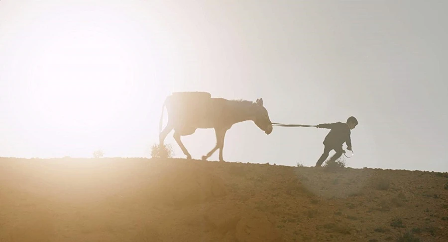 Nefta Football Club is a short film directed by France’s Yves Piat. Supplied