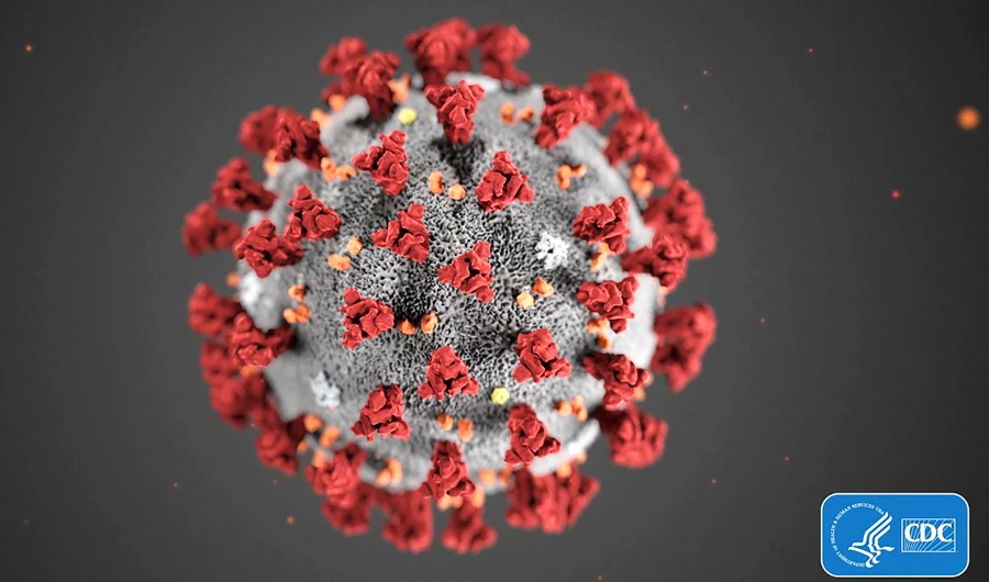This handout illustration image obtained February 3, 2020, courtesy of Centers for Disease Control and Prevention, and created at the Centers for Disease Control and Prevention (CDC), reveals ultrastructural morphology exhibited by coronaviruses. (AFP)