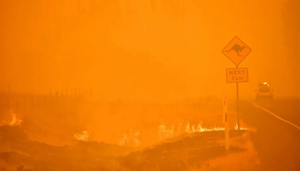 “Black summer”: Australian PM leads tribute to bushfire victims