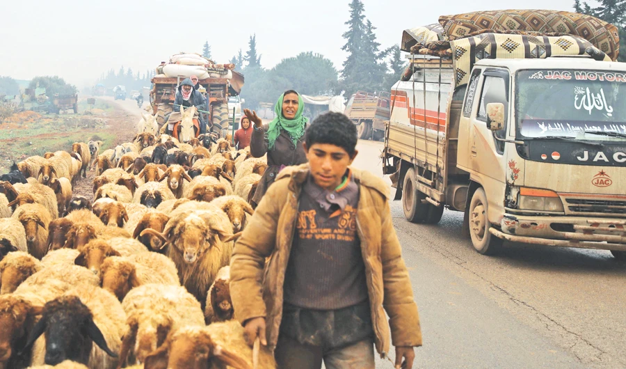 A young shepherd tends to his sheep as members of a family fleeing with their belongings pass through the town of Batabo in Syria’s Aleppo province, on Wednesday amid an ongoing regime offensive. (AFP)