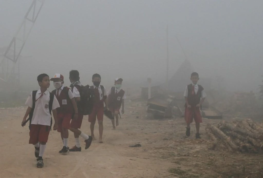 Indonesian president Widodo orders permanent solution to forest fires