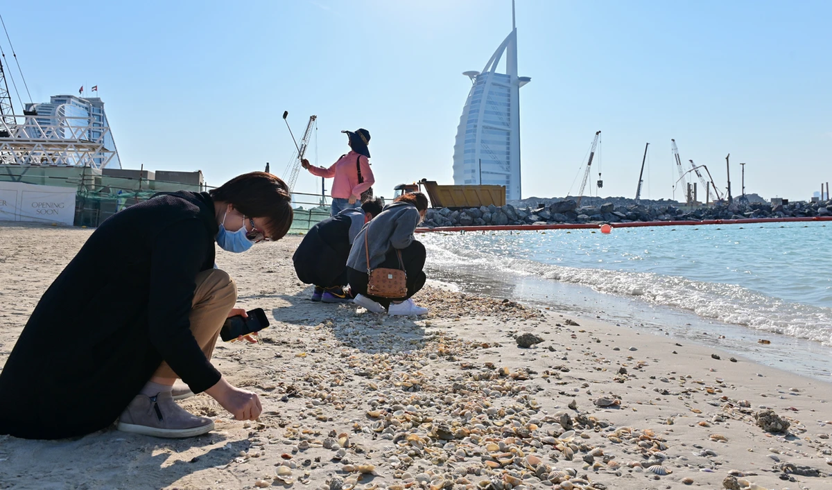 Tourists wearing surgical masks search for seashells on a beach next to Burj Al Arab in Dubai. (AFP)
