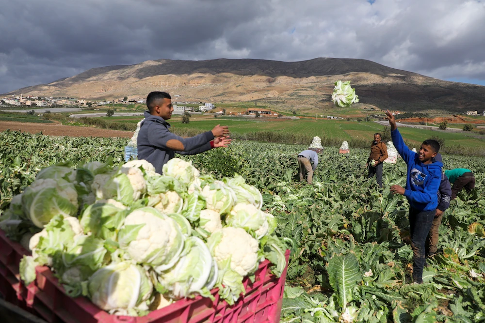 Israel blocks Palestinian export in escalating trade crisis