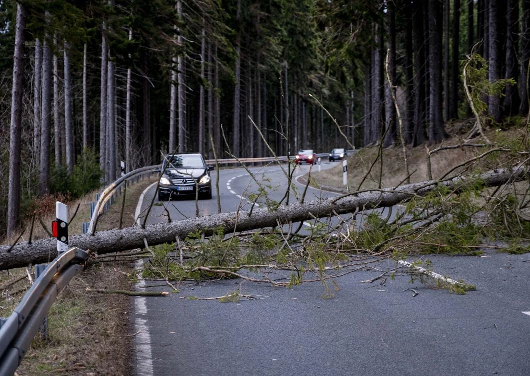 A tree blocks a road in the Taunus region in a strong storm near Frankfurt, Germany, Sunday, Feb. 9, 2020. (AP)