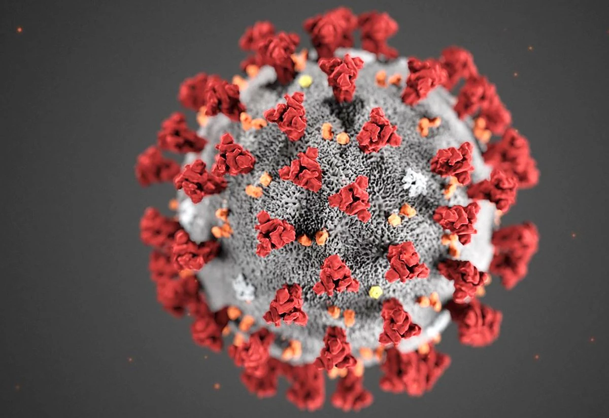 No case of coronavirus has been detected in Saudi Arabia. (AFP)