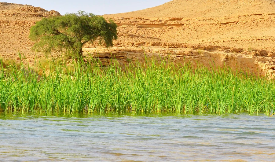 Industry experts to address Saudi water challenges