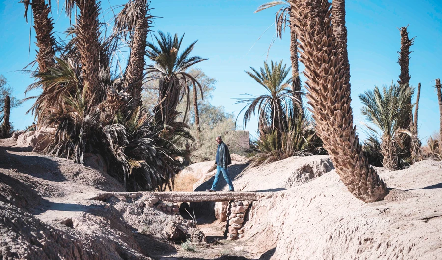A man walks over a dried irrigation canal in Morocco’s oasis of Skoura. (AFP)