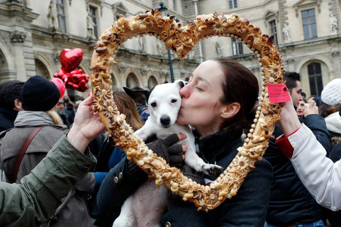 Although dogs have an innate predisposition for affection, it requires early life nurturing to take effect. (AFP)