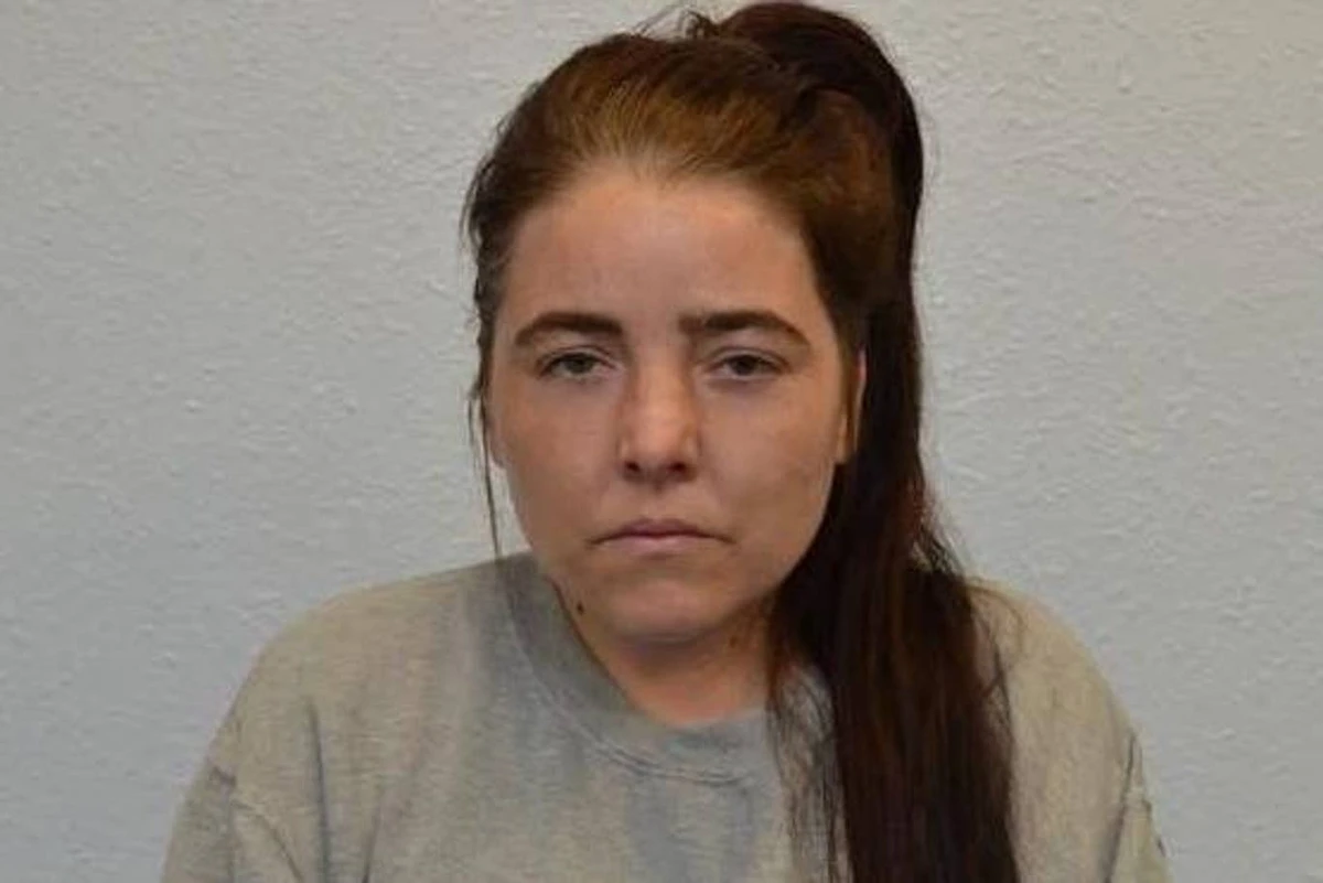 Daesh supporter pleads guilty to St. Paul’s Cathedral bomb plot