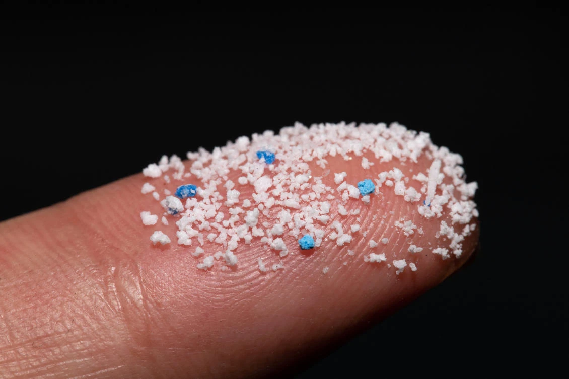 Scientists gather to study risk from microplastic pollution