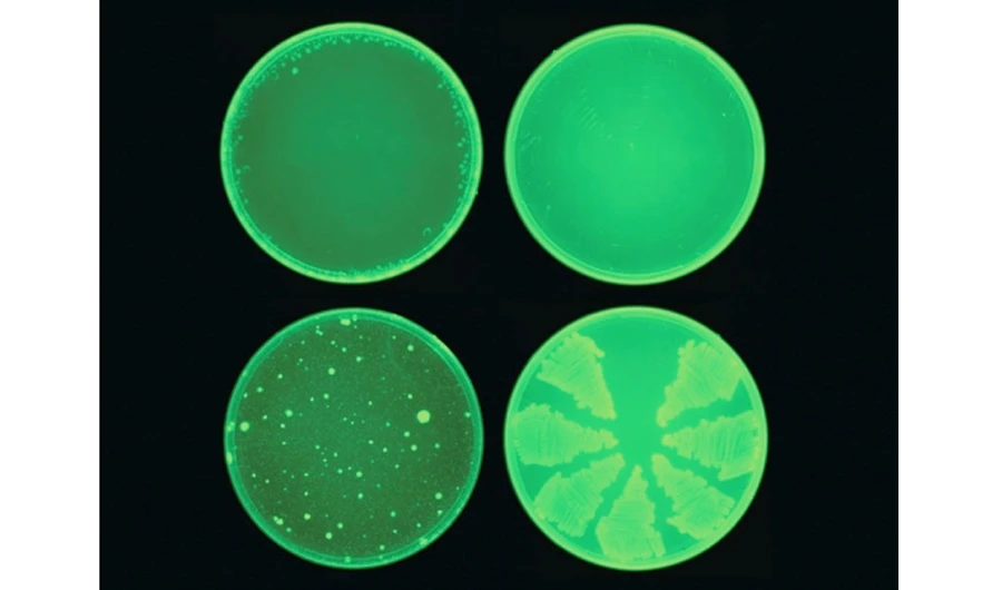 The computer model is designed to pick out potential antibiotics that kill bacteria using different mechanisms than those of existing drugs.