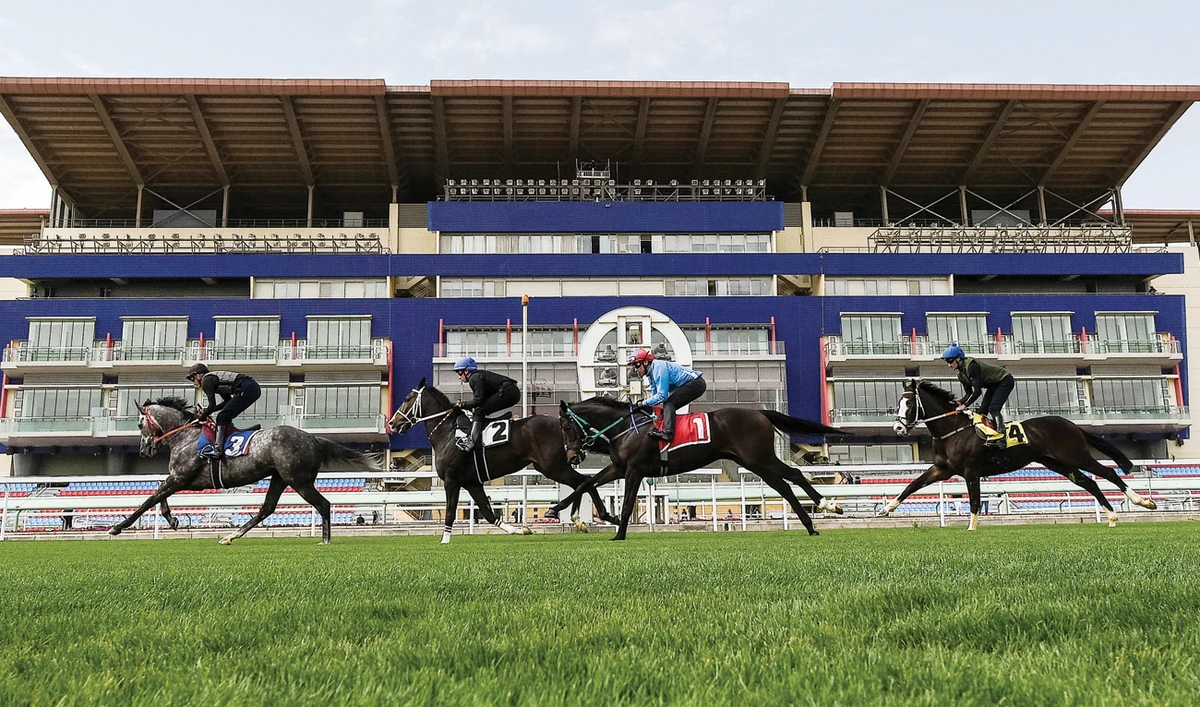 Some of the world’s best male and female jockeys will compete over eight races in the Kingdom Day meet on the eve of the inaugural running of the $20 million Saudi Cup on Saturday. (Supplied)