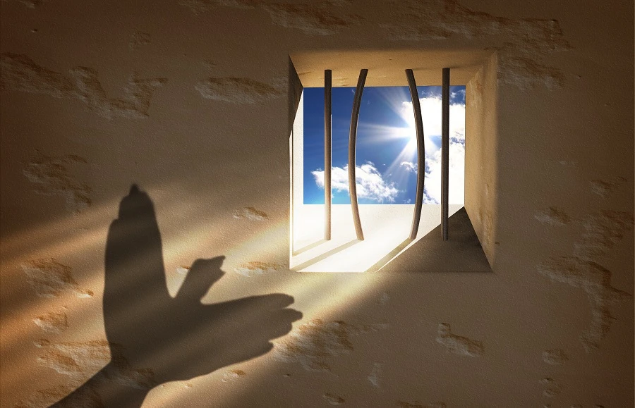 ‘Tomorrow, I Will Fly’ is a collection of personal essays from Dubai prisoners. (Shutterstock)