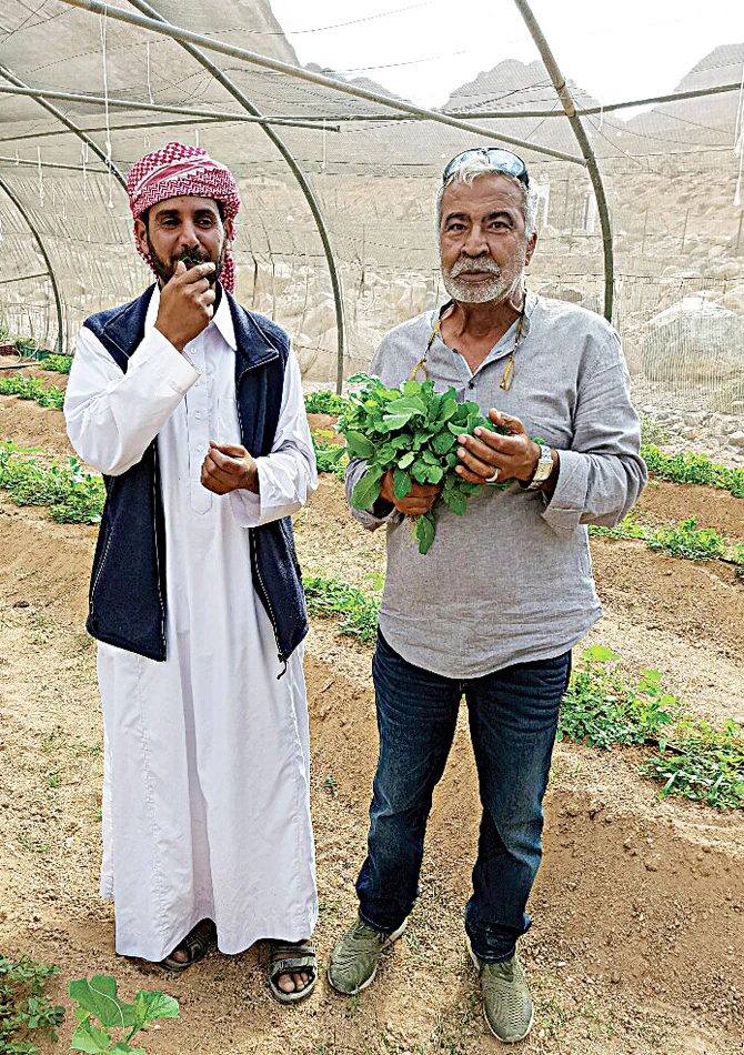 A Sinai desert community in Egypt leads the way in agritourism