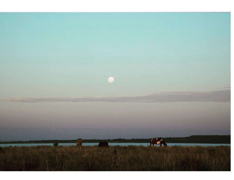 Andrea Alkalay