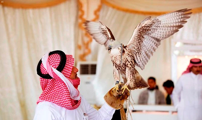Records broken in Saudi Arabia in 2019