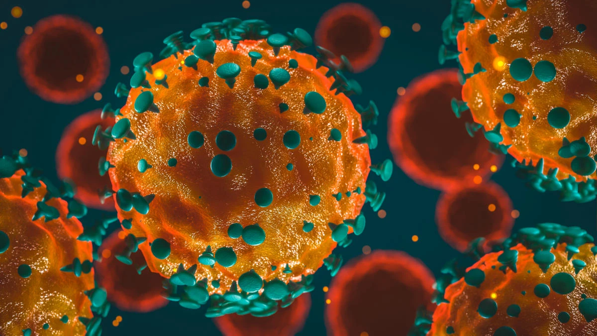 The researchers, from Peking University’s School of Life Sciences and the Institut Pasteur of Shanghai under the Chinese Academy of Sciences, cautioned that their analysis examined a limited range of data, and said follow-up studies of larger data sets are needed to better understand the virus’s evolution. (File/AFP)