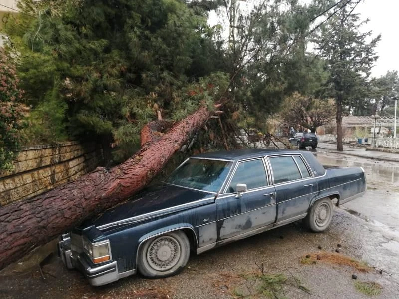 Lebanese people experienced terror on Thursday night when a severe storm ravaged mountain and coastal regions, uprooted trees, caused floods and destroyed cars, refugee tents and public statues. (Supplied)