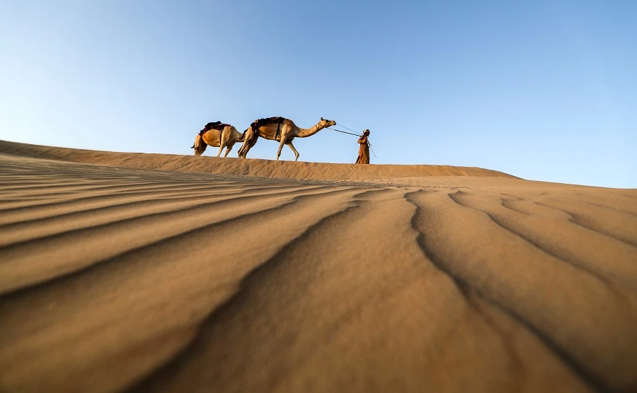 The ban includes sea cruises, desert camps, safaris and floating restaurants. (File/AFP)