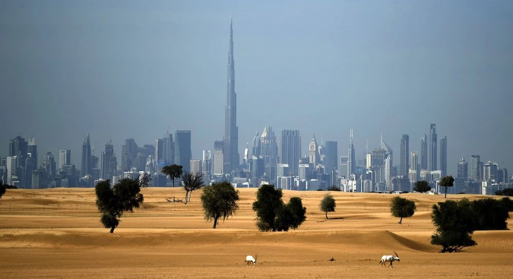 The UAE reported the first deaths due to the coronavirus in the country on Friday. (AFP)