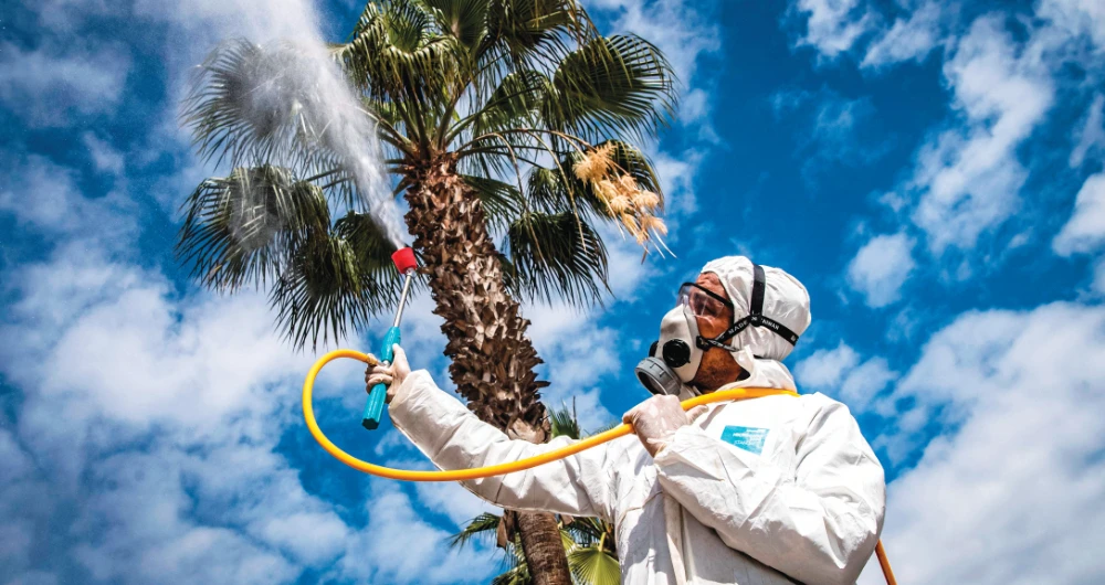 Morocco was among the first African countries to start shutting down borders and economic activity in recent weeks to stem the spread of the coranavirus. (AFP)