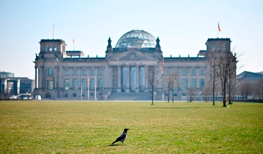A bird is seen on the grass in front of the German upper house of parliament, Bundesrat, in Berlin on March 27, 2020. (AFP)