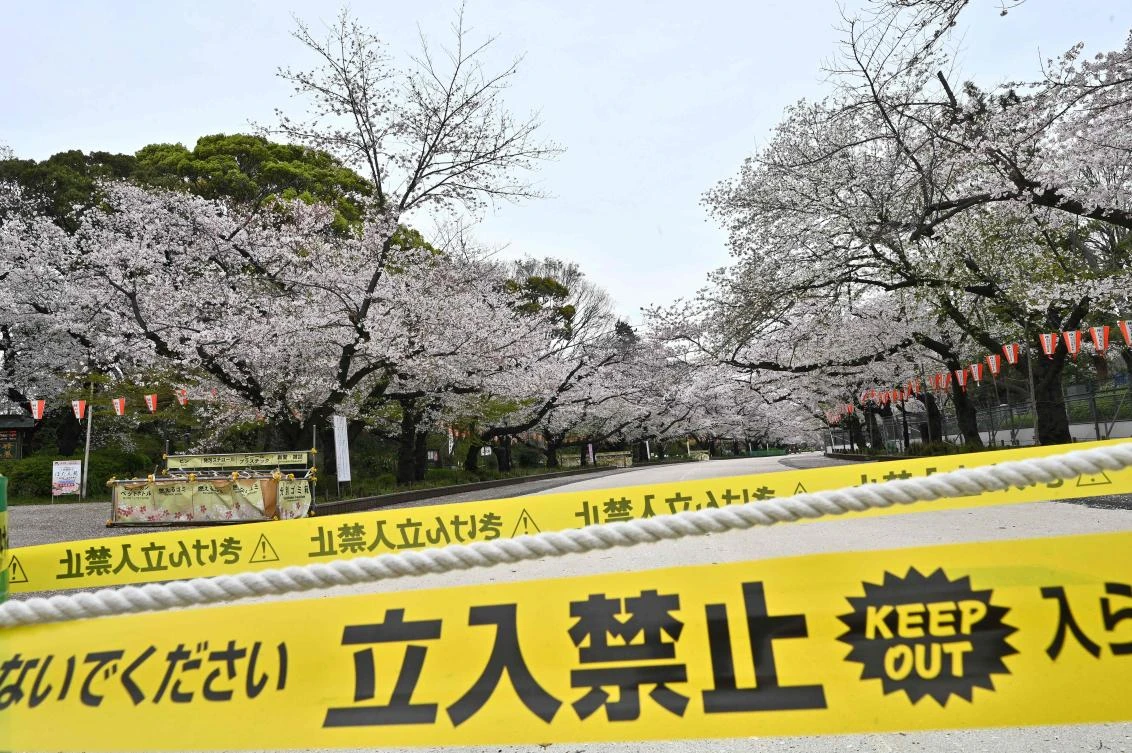 Above, a closed cherry blossom viewing area amid concerns of the spread of coronavirus at Ueno park in Tokyo on March 30, 2020. (AFP)